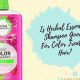 Is Herbal Essence Good? Honest Review + Alternatives | The Ultimate Herbal Remedies Guide: Natural Healing for a Healthier Life