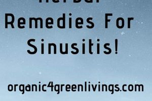 Top Herbal Remedies for Sinusitis Relief Today The Ultimate Herbal Remedies Guide: Natural Healing for a Healthier Life Top Herbal Remedies for Sinusitis Relief Today | The Ultimate Herbal Remedies Guide: Natural Healing for a Healthier Life
