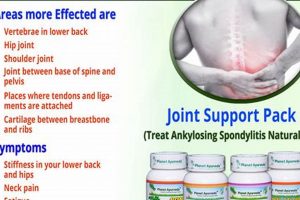 Natural Herbal Remedies for Ankylosing Spondylitis Relief The Ultimate Herbal Remedies Guide: Natural Healing for a Healthier Life Natural Herbal Remedies for Ankylosing Spondylitis Relief | The Ultimate Herbal Remedies Guide: Natural Healing for a Healthier Life