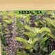 The Ultimate Guide to Holy Basil Herbal Tea Benefits & Recipes | The Ultimate Herbal Remedies Guide: Natural Healing for a Healthier Life