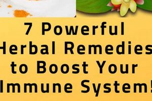 Boost Your Defenses: Herbal Remedies for Immune System Support The Ultimate Herbal Remedies Guide: Natural Healing for a Healthier Life Boost Your Defenses: Herbal Remedies for Immune System Support | The Ultimate Herbal Remedies Guide: Natural Healing for a Healthier Life