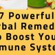 Boost Your Defenses: Herbal Remedies for Immune System Support | The Ultimate Herbal Remedies Guide: Natural Healing for a Healthier Life