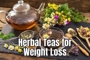 Unlock Weight Loss: Herbal Teas & Slimming Blends The Ultimate Herbal Remedies Guide: Natural Healing for a Healthier Life Unlock Weight Loss: Herbal Teas & Slimming Blends | The Ultimate Herbal Remedies Guide: Natural Healing for a Healthier Life