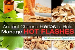 Natural Hot Flashes Herbal Supplements: Relief & Safety The Ultimate Herbal Remedies Guide: Natural Healing for a Healthier Life Natural Hot Flashes Herbal Supplements: Relief & Safety | The Ultimate Herbal Remedies Guide: Natural Healing for a Healthier Life