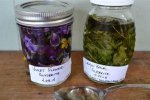 Easy Guide: How to Make Herbal Tincture Without Alcohol + Uses The Ultimate Herbal Remedies Guide: Natural Healing for a Healthier Life Easy Guide: How to Make Herbal Tincture Without Alcohol + Uses | The Ultimate Herbal Remedies Guide: Natural Healing for a Healthier Life