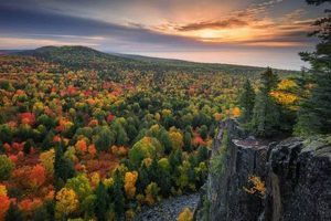 Natural MN Herbal Beauty: Secrets & Benefits The Ultimate Herbal Remedies Guide: Natural Healing for a Healthier Life Natural MN Herbal Beauty: Secrets & Benefits | The Ultimate Herbal Remedies Guide: Natural Healing for a Healthier Life