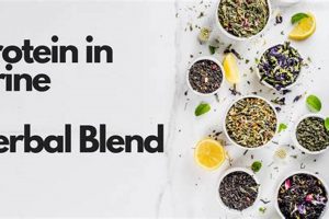 Natural Herbal Treatment for Protein in Urine Support The Ultimate Herbal Remedies Guide: Natural Healing for a Healthier Life Natural Herbal Treatment for Protein in Urine Support | The Ultimate Herbal Remedies Guide: Natural Healing for a Healthier Life