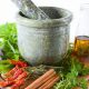 Grow Profit: Herbal Real Estate for Healing Plants | The Ultimate Herbal Remedies Guide: Natural Healing for a Healthier Life