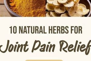Natural Herbal Remedies for Sore Joints: Relief Guide The Ultimate Herbal Remedies Guide: Natural Healing for a Healthier Life Natural Herbal Remedies for Sore Joints: Relief Guide | The Ultimate Herbal Remedies Guide: Natural Healing for a Healthier Life