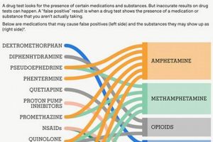 Supplements: What Herbal Supplements Cause False Positive Drug Tests? Guide The Ultimate Herbal Remedies Guide: Natural Healing for a Healthier Life Supplements: What Herbal Supplements Cause False Positive Drug Tests? Guide | The Ultimate Herbal Remedies Guide: Natural Healing for a Healthier Life