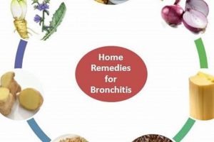 Natural Acute Bronchitis Herbal Remedies That Work The Ultimate Herbal Remedies Guide: Natural Healing for a Healthier Life Natural Acute Bronchitis Herbal Remedies That Work | The Ultimate Herbal Remedies Guide: Natural Healing for a Healthier Life