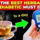 Best Herbal Teas for Diabetics: Safe &amp; Natural | The Ultimate Herbal Remedies Guide: Natural Healing for a Healthier Life