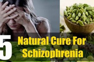 Natural Schizophrenia Herbal Treatment? Guide! The Ultimate Herbal Remedies Guide: Natural Healing for a Healthier Life Natural Schizophrenia Herbal Treatment? Guide! | The Ultimate Herbal Remedies Guide: Natural Healing for a Healthier Life