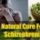 Natural Schizophrenia Herbal Treatment? Guide! | The Ultimate Herbal Remedies Guide: Natural Healing for a Healthier Life