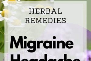Quick Herbal Remedies for Migraine Relief Now The Ultimate Herbal Remedies Guide: Natural Healing for a Healthier Life Quick Herbal Remedies for Migraine Relief Now | The Ultimate Herbal Remedies Guide: Natural Healing for a Healthier Life