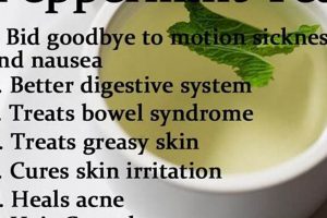 Unlock the Benefits: Peppermint Herbal Tea Power! The Ultimate Herbal Remedies Guide: Natural Healing for a Healthier Life Unlock the Benefits: Peppermint Herbal Tea Power! | The Ultimate Herbal Remedies Guide: Natural Healing for a Healthier Life
