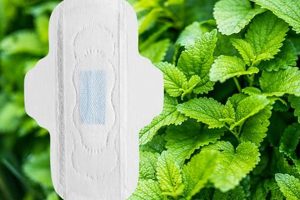 Natural Comfort: Herbal Sanitary Napkin Guide & Benefits The Ultimate Herbal Remedies Guide: Natural Healing for a Healthier Life Natural Comfort: Herbal Sanitary Napkin Guide & Benefits | The Ultimate Herbal Remedies Guide: Natural Healing for a Healthier Life