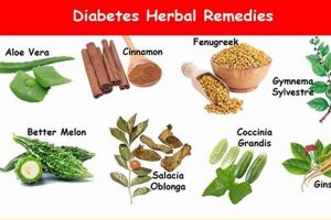 Effective Herbal Treatment for Diabetics: Natural Support The Ultimate Herbal Remedies Guide: Natural Healing for a Healthier Life Effective Herbal Treatment for Diabetics: Natural Support | The Ultimate Herbal Remedies Guide: Natural Healing for a Healthier Life