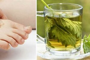 Natural Gout Herbal Treatment: Relief & Remedies The Ultimate Herbal Remedies Guide: Natural Healing for a Healthier Life Natural Gout Herbal Treatment: Relief & Remedies | The Ultimate Herbal Remedies Guide: Natural Healing for a Healthier Life
