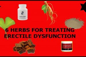 Natural Erectile Dysfunction Herbal Medicine: Does It Work? The Ultimate Herbal Remedies Guide: Natural Healing for a Healthier Life Natural Erectile Dysfunction Herbal Medicine: Does It Work? | The Ultimate Herbal Remedies Guide: Natural Healing for a Healthier Life