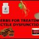 Natural Erectile Dysfunction Herbal Medicine: Does It Work? | The Ultimate Herbal Remedies Guide: Natural Healing for a Healthier Life