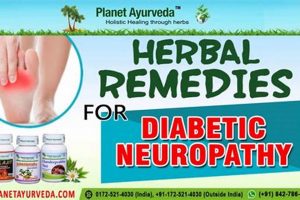Natural Herbal Treatment for Diabetic Neuropathy Relief The Ultimate Herbal Remedies Guide: Natural Healing for a Healthier Life Natural Herbal Treatment for Diabetic Neuropathy Relief | The Ultimate Herbal Remedies Guide: Natural Healing for a Healthier Life