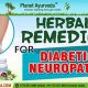 Natural Herbal Treatment for Diabetic Neuropathy Relief | The Ultimate Herbal Remedies Guide: Natural Healing for a Healthier Life