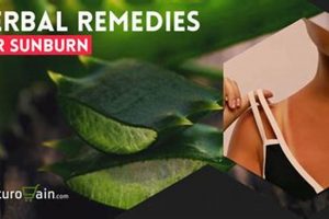 Natural Herbal Remedies for Sunburn Relief The Ultimate Herbal Remedies Guide: Natural Healing for a Healthier Life Natural Herbal Remedies for Sunburn Relief | The Ultimate Herbal Remedies Guide: Natural Healing for a Healthier Life