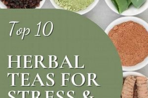Calm & Brew: Herbal Teas for Anxiety Relief [Guide] | The Ultimate Herbal Remedies Guide: Natural Healing for a Healthier Life