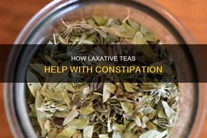 Best Herbal Teas That Help Constipation: Relief & Tips The Ultimate Herbal Remedies Guide: Natural Healing for a Healthier Life Best Herbal Teas That Help Constipation: Relief & Tips | The Ultimate Herbal Remedies Guide: Natural Healing for a Healthier Life