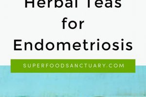 Sip Relief: Best Herbal Tea for Endometriosis Symptoms The Ultimate Herbal Remedies Guide: Natural Healing for a Healthier Life Sip Relief: Best Herbal Tea for Endometriosis Symptoms | The Ultimate Herbal Remedies Guide: Natural Healing for a Healthier Life