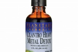 Unlocking Detox: Planetary Herbals Cilantro Heavy Metal Detox Guide The Ultimate Herbal Remedies Guide: Natural Healing for a Healthier Life Unlocking Detox: Planetary Herbals Cilantro Heavy Metal Detox Guide | The Ultimate Herbal Remedies Guide: Natural Healing for a Healthier Life