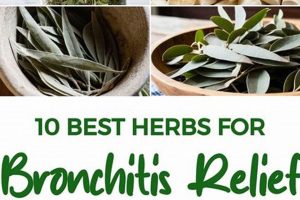 Natural Bronchitis Herbal Remedies: Ease Your Cough! The Ultimate Herbal Remedies Guide: Natural Healing for a Healthier Life Natural Bronchitis Herbal Remedies: Ease Your Cough! | The Ultimate Herbal Remedies Guide: Natural Healing for a Healthier Life