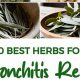 Natural Bronchitis Herbal Remedies: Ease Your Cough! | The Ultimate Herbal Remedies Guide: Natural Healing for a Healthier Life