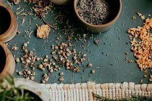 Grow Your Herbal Business: Tips & Trends The Ultimate Herbal Remedies Guide: Natural Healing for a Healthier Life Grow Your Herbal Business: Tips & Trends | The Ultimate Herbal Remedies Guide: Natural Healing for a Healthier Life