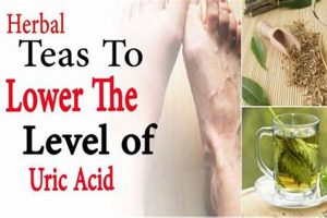 The Zesty Side: Herbal Tea Acid & Your Health The Ultimate Herbal Remedies Guide: Natural Healing for a Healthier Life The Zesty Side: Herbal Tea Acid & Your Health | The Ultimate Herbal Remedies Guide: Natural Healing for a Healthier Life