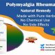 Natural Herbal Remedies for Polymyalgia Rheumatica Pain | The Ultimate Herbal Remedies Guide: Natural Healing for a Healthier Life