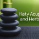 Katy Acupuncture & Herbals: Holistic Care at Katy Acupuncture and Herbal Care PLLC | The Ultimate Herbal Remedies Guide: Natural Healing for a Healthier Life
