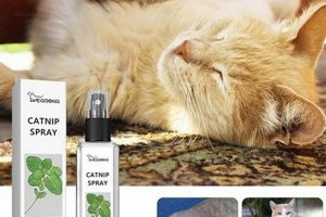 Best Herbal Catnip: Uses, Benefits & More! The Ultimate Herbal Remedies Guide: Natural Healing for a Healthier Life Best Herbal Catnip: Uses, Benefits & More! | The Ultimate Herbal Remedies Guide: Natural Healing for a Healthier Life