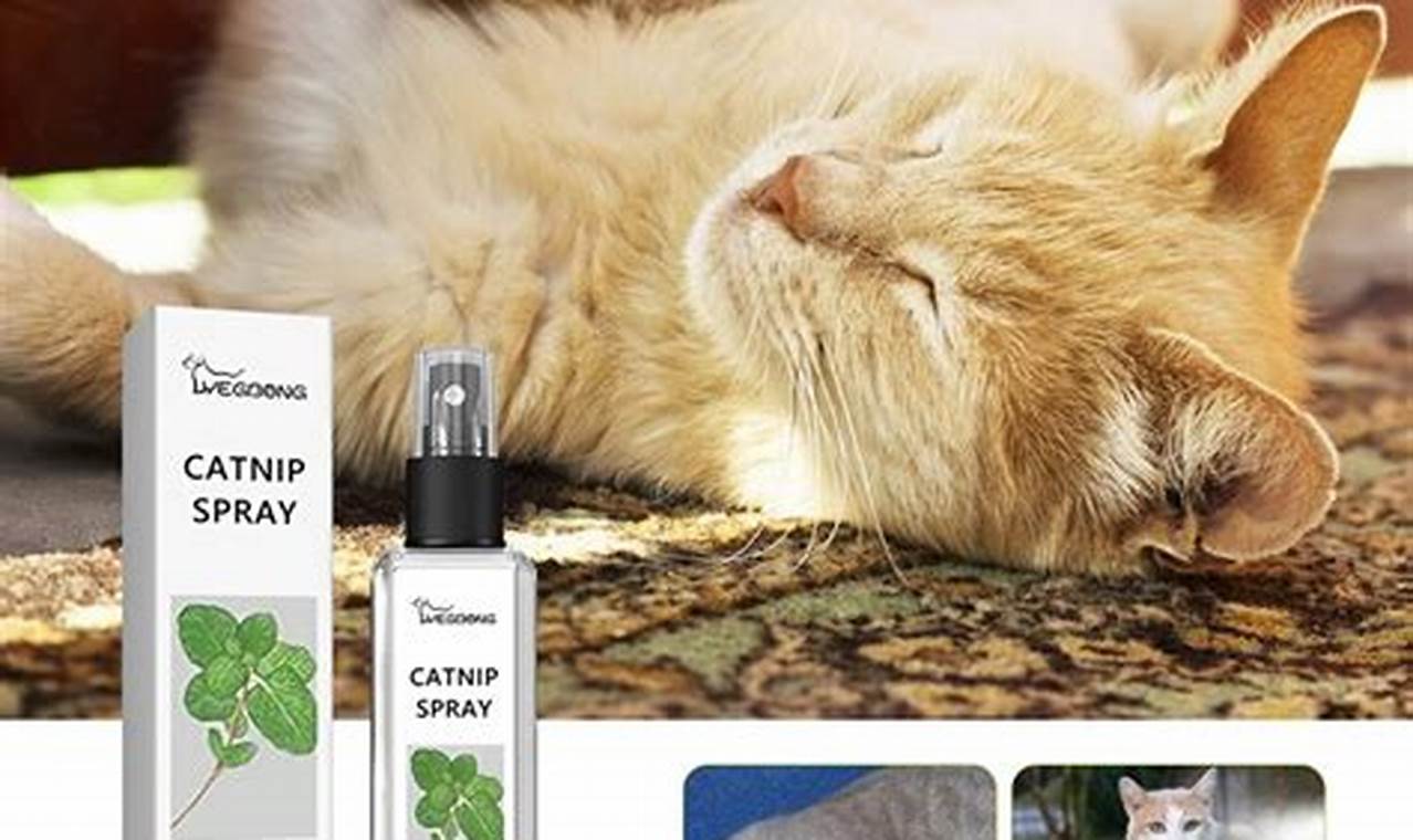 Best Herbal Catnip: Uses, Benefits & More! The Ultimate Herbal Remedies Guide: Natural Healing for a Healthier Life Best Herbal Catnip: Uses, Benefits & More! | The Ultimate Herbal Remedies Guide: Natural Healing for a Healthier Life