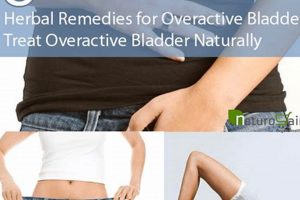 Natural Herbal Treatment for Overactive Bladder Relief The Ultimate Herbal Remedies Guide: Natural Healing for a Healthier Life Natural Herbal Treatment for Overactive Bladder Relief | The Ultimate Herbal Remedies Guide: Natural Healing for a Healthier Life