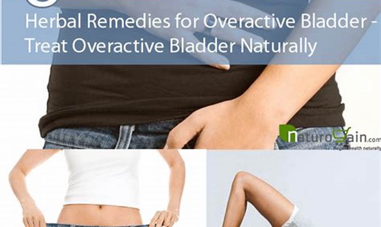 Natural Herbal Treatment for Overactive Bladder Relief The Ultimate Herbal Remedies Guide: Natural Healing for a Healthier Life Natural Herbal Treatment for Overactive Bladder Relief | The Ultimate Herbal Remedies Guide: Natural Healing for a Healthier Life