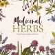Best Herbal Clip Art: Stock Images &amp; More! | The Ultimate Herbal Remedies Guide: Natural Healing for a Healthier Life