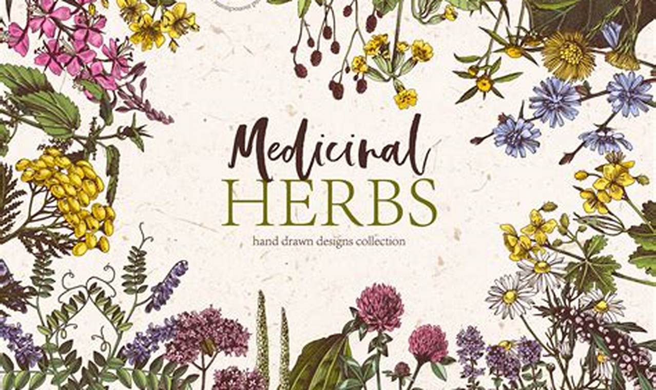 Best Herbal Clip Art: Stock Images & More! The Ultimate Herbal Remedies Guide: Natural Healing for a Healthier Life Best Herbal Clip Art: Stock Images & More! | The Ultimate Herbal Remedies Guide: Natural Healing for a Healthier Life