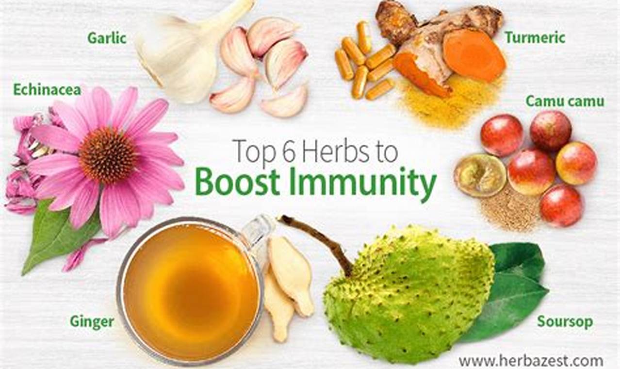 Boost Your Health: Herbal Immune Booster Power The Ultimate Herbal Remedies Guide: Natural Healing for a Healthier Life Boost Your Health: Herbal Immune Booster Power | The Ultimate Herbal Remedies Guide: Natural Healing for a Healthier Life
