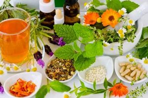 Natural Herbal Cures: Safe & Effective Remedies The Ultimate Herbal Remedies Guide: Natural Healing for a Healthier Life Natural Herbal Cures: Safe & Effective Remedies | The Ultimate Herbal Remedies Guide: Natural Healing for a Healthier Life