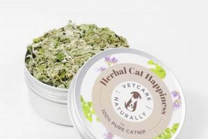 Best Catnip Herbal Treats: Uses & Benefits for Cats The Ultimate Herbal Remedies Guide: Natural Healing for a Healthier Life Best Catnip Herbal Treats: Uses & Benefits for Cats | The Ultimate Herbal Remedies Guide: Natural Healing for a Healthier Life