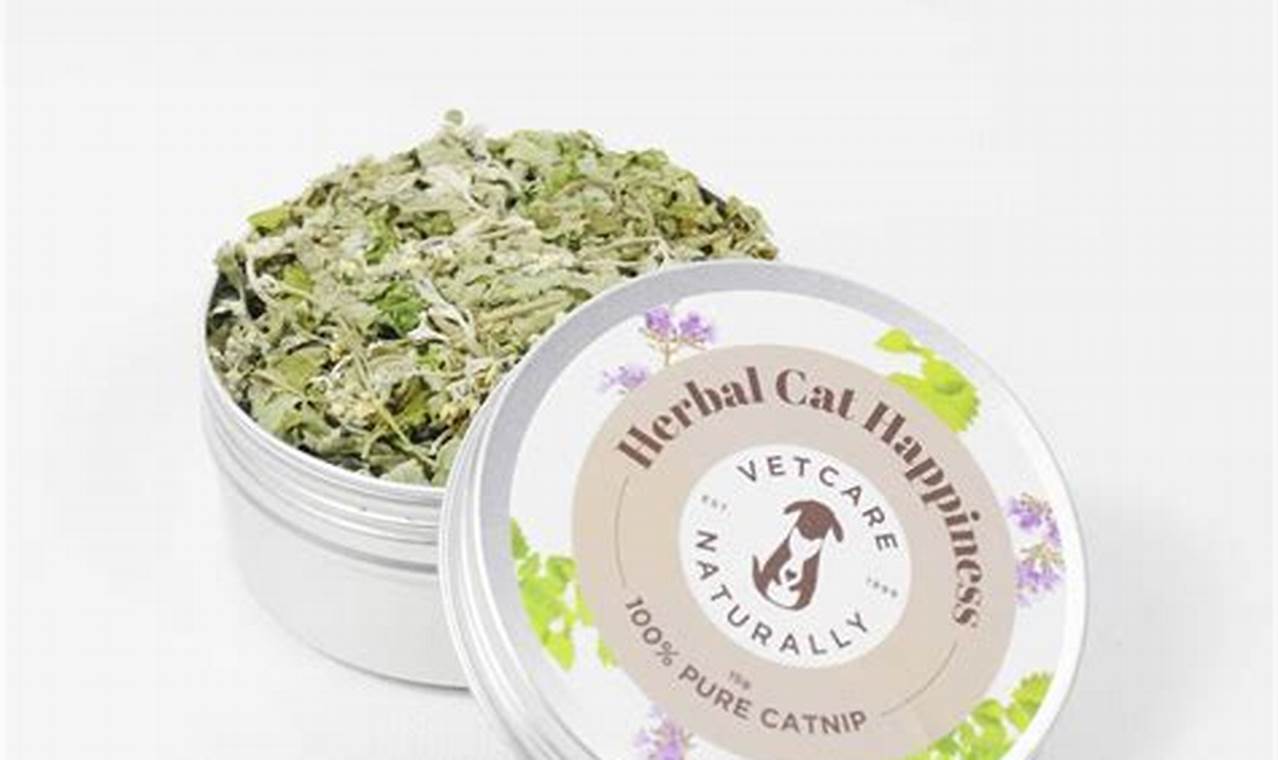 Best Catnip Herbal Treats: Uses & Benefits for Cats The Ultimate Herbal Remedies Guide: Natural Healing for a Healthier Life Best Catnip Herbal Treats: Uses & Benefits for Cats | The Ultimate Herbal Remedies Guide: Natural Healing for a Healthier Life