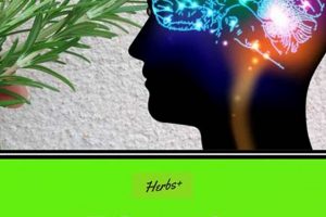 Boost Memory: Herbal Remedies That Work Naturally The Ultimate Herbal Remedies Guide: Natural Healing for a Healthier Life Boost Memory: Herbal Remedies That Work Naturally | The Ultimate Herbal Remedies Guide: Natural Healing for a Healthier Life
