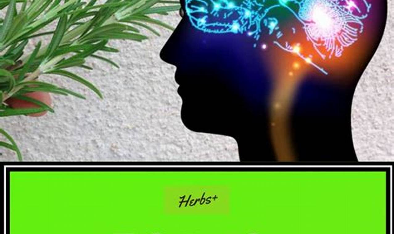 Boost Memory: Herbal Remedies That Work Naturally The Ultimate Herbal Remedies Guide: Natural Healing for a Healthier Life Boost Memory: Herbal Remedies That Work Naturally | The Ultimate Herbal Remedies Guide: Natural Healing for a Healthier Life